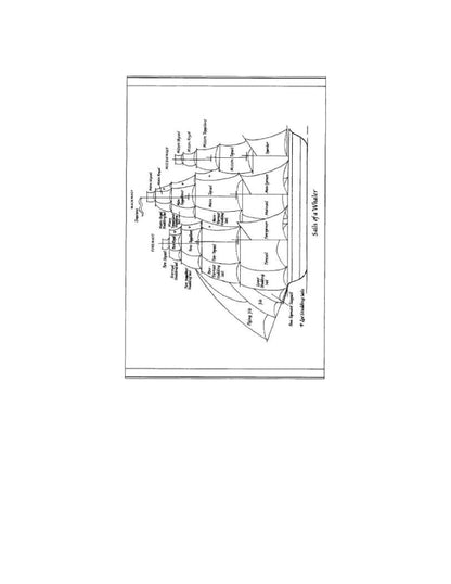 Moby Dick  by Herman Melville 1851