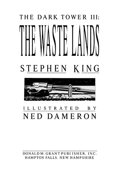 the Dark Tower 3 The Waste Lands 1991 by Stephen King